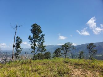 Terrenos de Venta en Jarabacoa