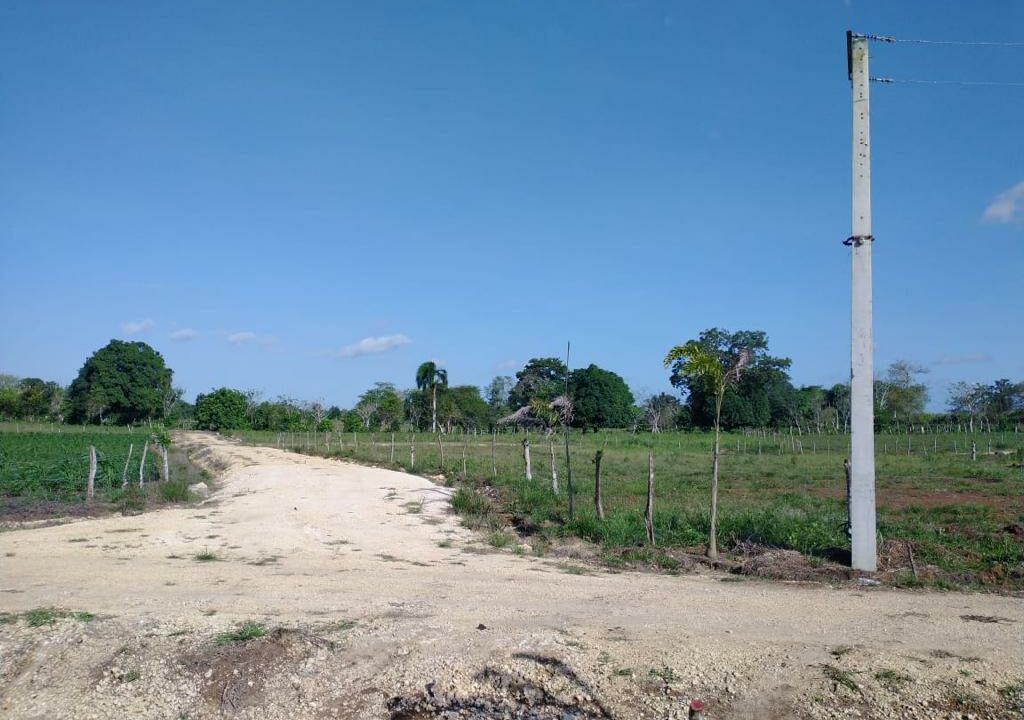 Venta de Finca-Finca  Pequeña-Proyecto Los Limoncillos-venta de Terreno -en Santo Domingo Este- Municipio de Guerra Santo Domingo este (6)