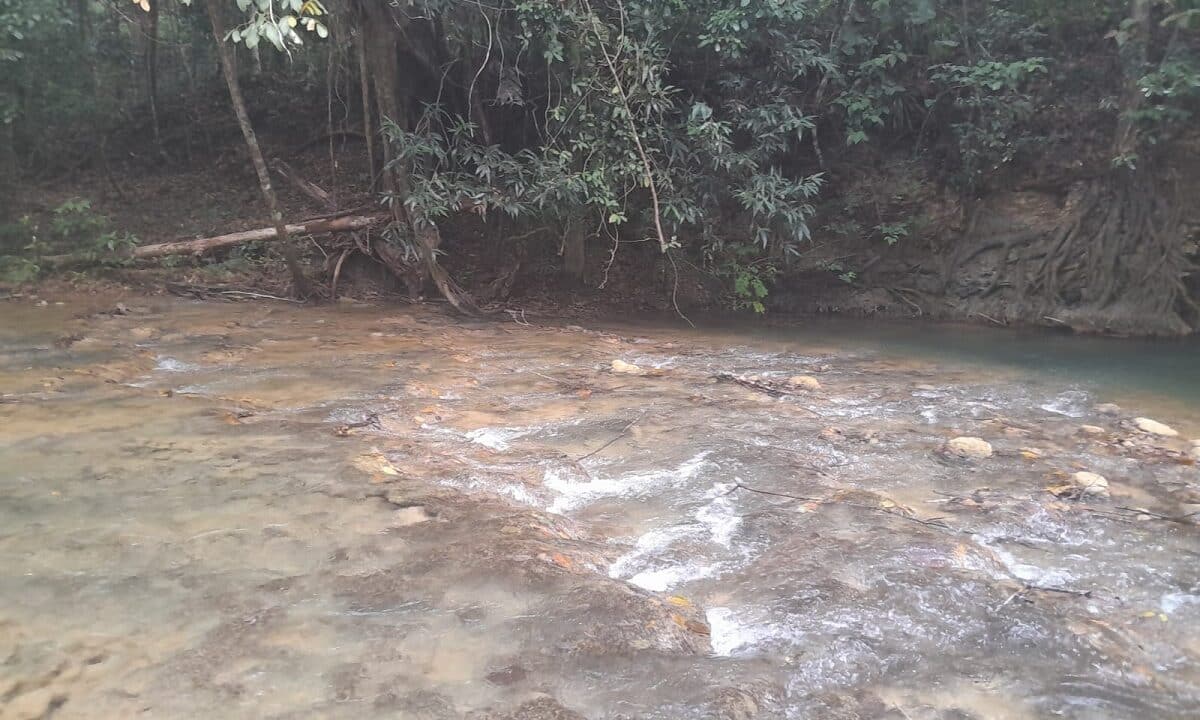 finquitas y rio en Boya Monte Plata (14)